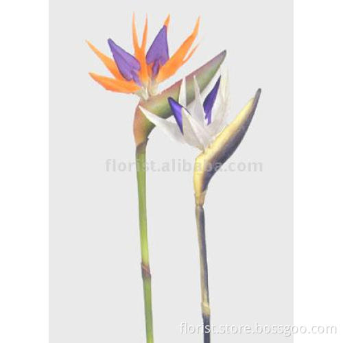 artificial Birds of Paradise